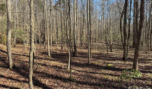 Photo #18 of 5700 Bentley Ridge, Davidson, NC