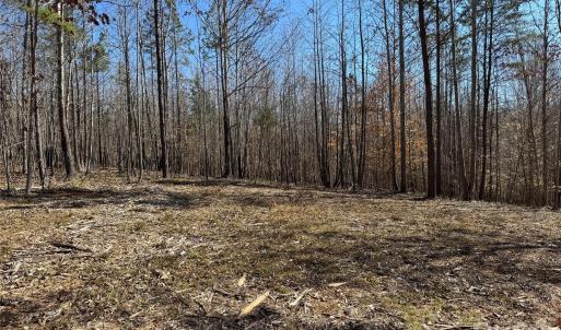 Photo #9 of 5700 Bentley Ridge, Davidson, NC