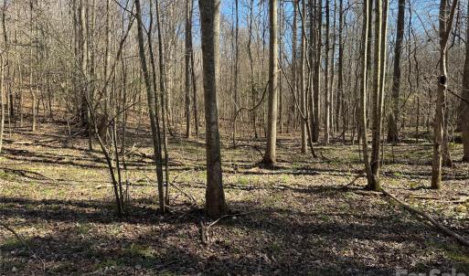 Photo #12 of 5700 Bentley Ridge, Davidson, NC