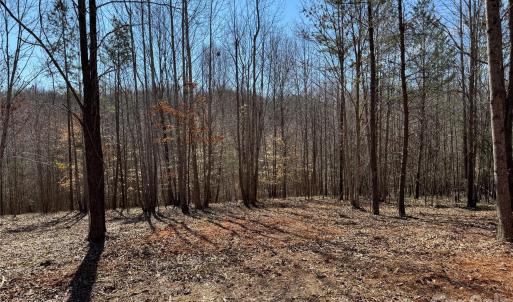 Photo #8 of 5700 Bentley Ridge, Davidson, NC