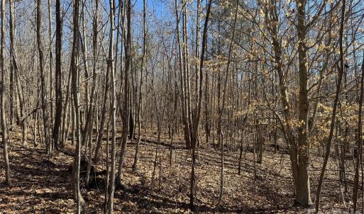 Photo #10 of 5700 Bentley Ridge, Davidson, NC