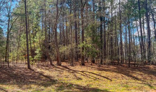 Photo #3 of 613 Crimson Clover, Clover, SC
