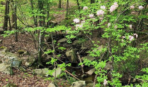 Photo #13 of 6327 Witherspoon, Lancaster, SC