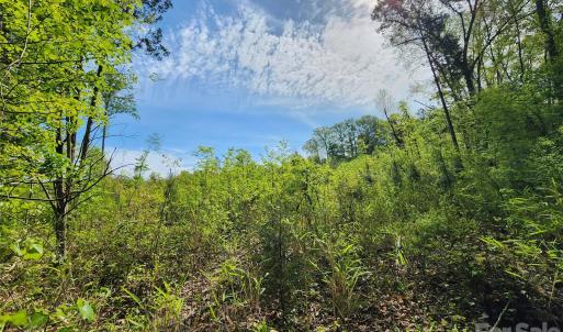 Photo #10 of 6327 Witherspoon, Lancaster, SC