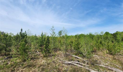 Photo #24 of 6327 Witherspoon, Lancaster, SC