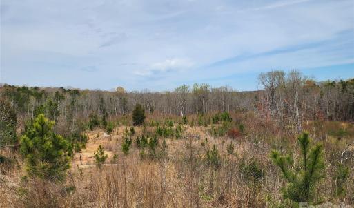 Photo #31 of 6327 Witherspoon, Lancaster, SC