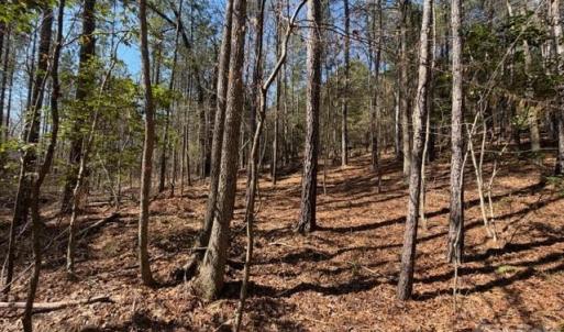 Photo #19 of 12.68 Acre 99, Blair, SC