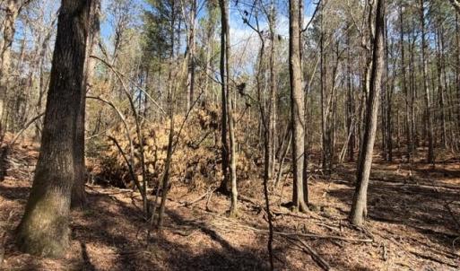 Photo #24 of 12.68 Acre 99, Blair, SC