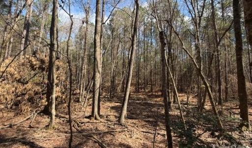 Photo #25 of 12.68 Acre 99, Blair, SC