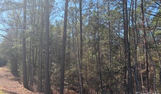 Photo #39 of 12.68 Acre 99, Blair, SC