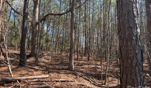Photo #33 of 12.68 Acre 99, Blair, SC