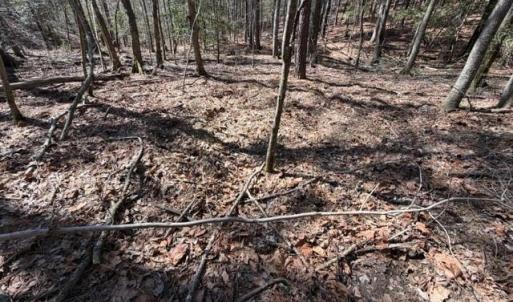 Photo #14 of 12.68 Acre 99, Blair, SC