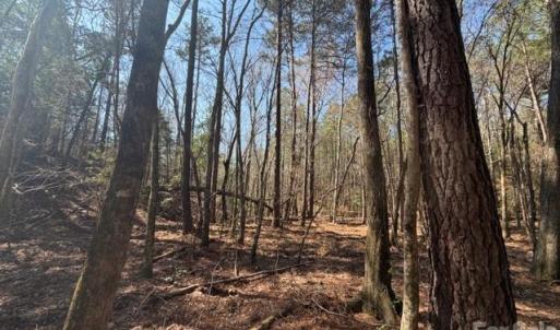 Photo #12 of 12.68 Acre 99, Blair, SC