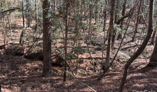 Photo #22 of 12.68 Acre 99, Blair, SC