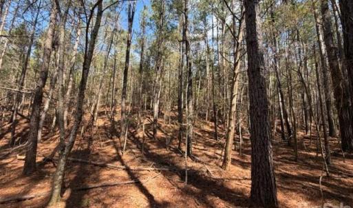 Photo #9 of 12.68 Acre 99, Blair, SC
