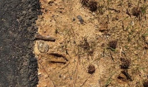 Photo #36 of 12.68 Acre 99, Blair, SC