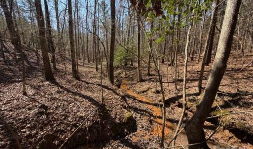 Photo #17 of 12.68 Acre 99, Blair, SC