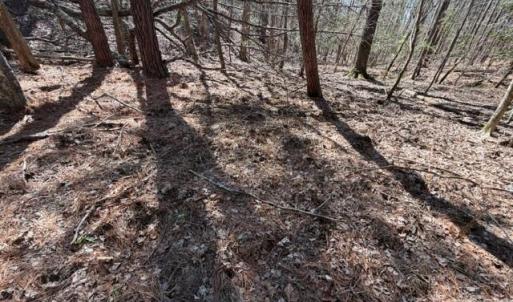 Photo #15 of 12.68 Acre 99, Blair, SC