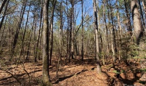 Photo #27 of 12.68 Acre 99, Blair, SC