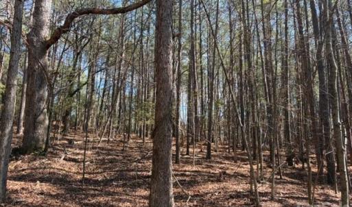 Photo #34 of 12.68 Acre 99, Blair, SC