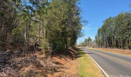 Photo #2 of 12.68 Acre 99, Blair, SC