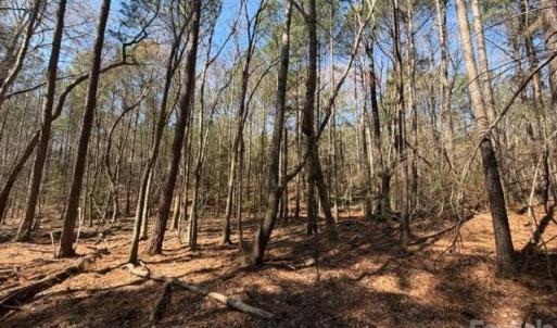Photo #13 of 12.68 Acre 99, Blair, SC
