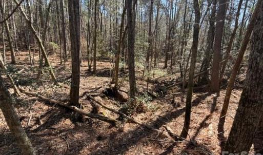 Photo #23 of 12.68 Acre 99, Blair, SC