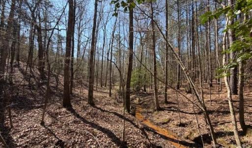 Photo #18 of 12.68 Acre 99, Blair, SC