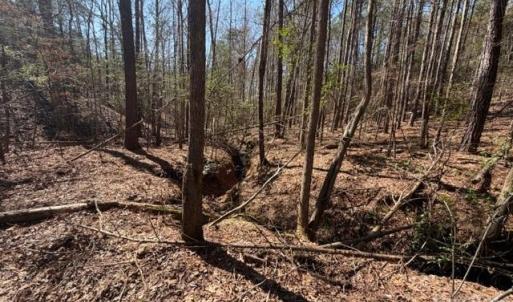 Photo #16 of 12.68 Acre 99, Blair, SC