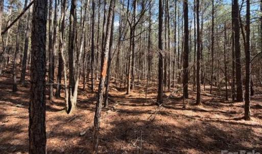 Photo #29 of 12.68 Acre 99, Blair, SC