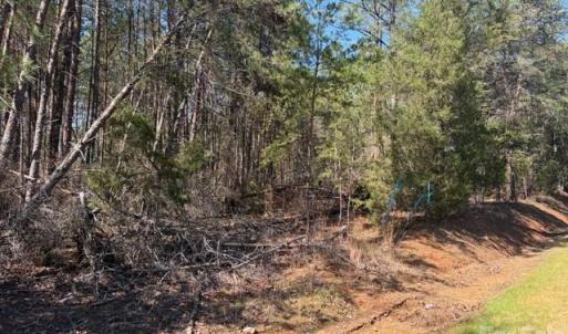 Photo #3 of 12.68 Acre 99, Blair, SC