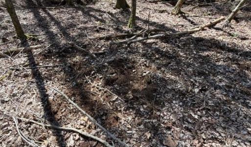 Photo #26 of 12.68 Acre 99, Blair, SC