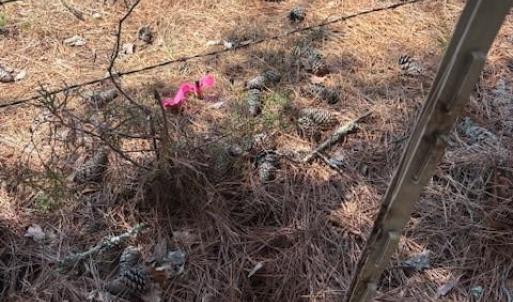 Photo #5 of 7340 Paul Linker, Concord, NC