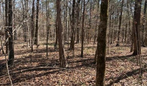 Photo #2 of 7340 Paul Linker, Concord, NC