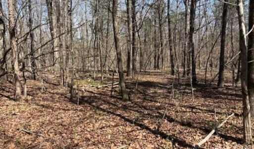 Photo #3 of 7340 Paul Linker, Concord, NC