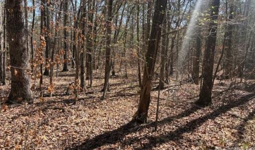 Photo #1 of 7340 Paul Linker, Concord, NC