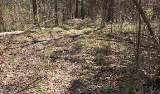 Photo #3 of 7350 Paul Linker, Concord, NC