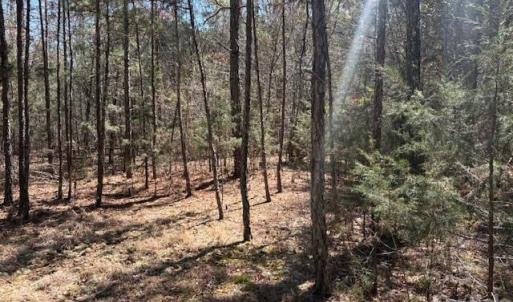 Photo #1 of 7350 Paul Linker, Concord, NC