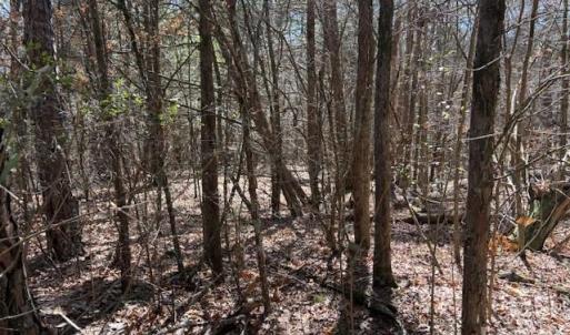 Photo #2 of 7350 Paul Linker, Concord, NC