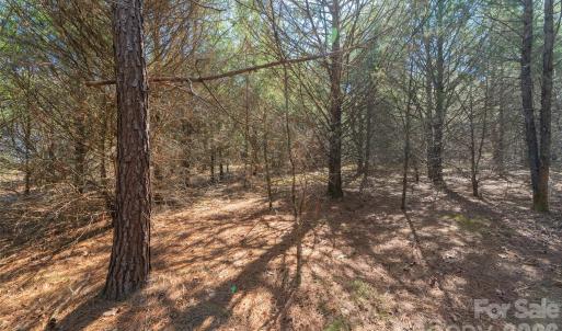 Photo #12 of Cemetery, Fort Lawn, SC