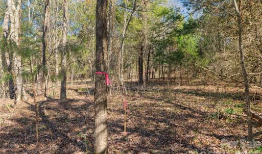 Photo #18 of Cemetery, Fort Lawn, SC
