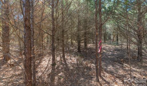 Photo #14 of Cemetery, Fort Lawn, SC