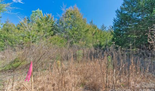 Photo #10 of Cemetery, Fort Lawn, SC