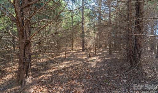 Photo #5 of Cemetery, Fort Lawn, SC