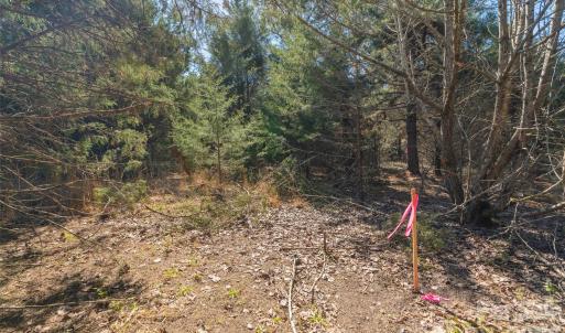 Photo #11 of Cemetery, Fort Lawn, SC