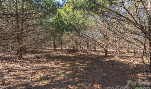 Photo #13 of Cemetery, Fort Lawn, SC