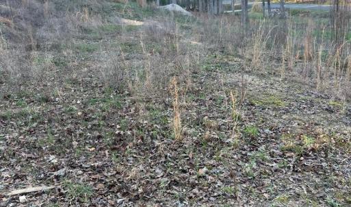 Photo #4 of 2873 Brookridge, Rock Hill, SC