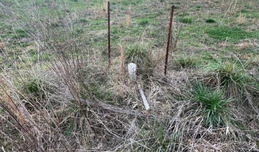 Photo #5 of 2873 Brookridge, Rock Hill, SC