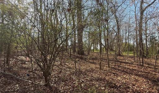 Photo #8 of 2808 Lathan, Monroe, NC