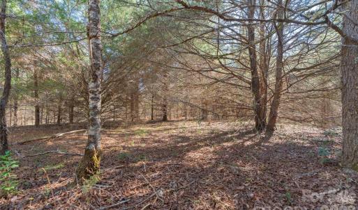 Photo #9 of Cemetery, Fort Lawn, SC